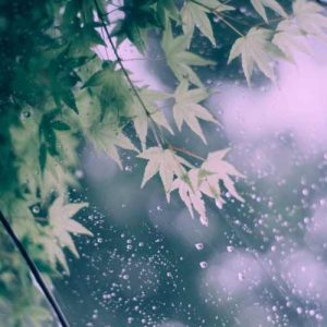 دانلود آهنگ عربی مسلم برانی